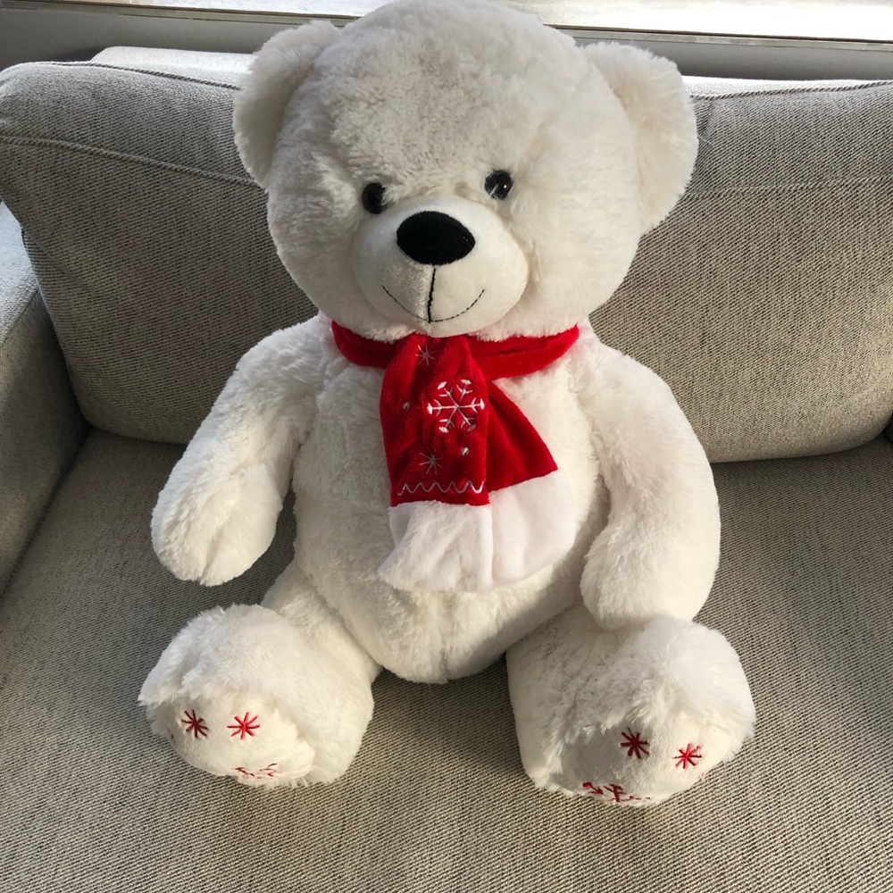 Cute snowflake/Valentines Teddy!